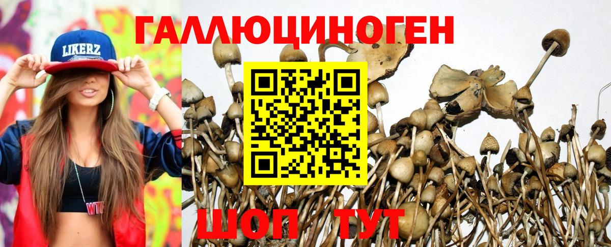Псилоцибиновые грибы MAGIC MUSHROOMS Ликино-Дулёво